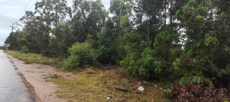 0 Bedroom Property for Sale in Greenbushes Eastern Cape